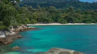 Coral Beach