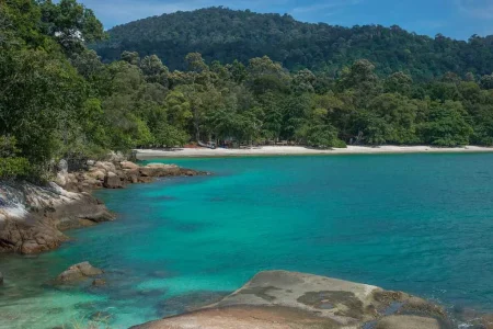 Coral Beach