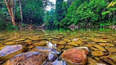 Endau-Rompin National Park