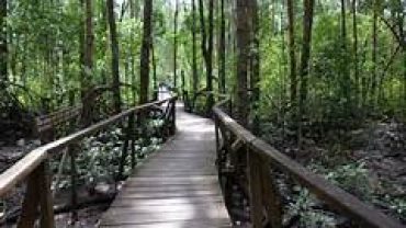 anjung Piai National Park