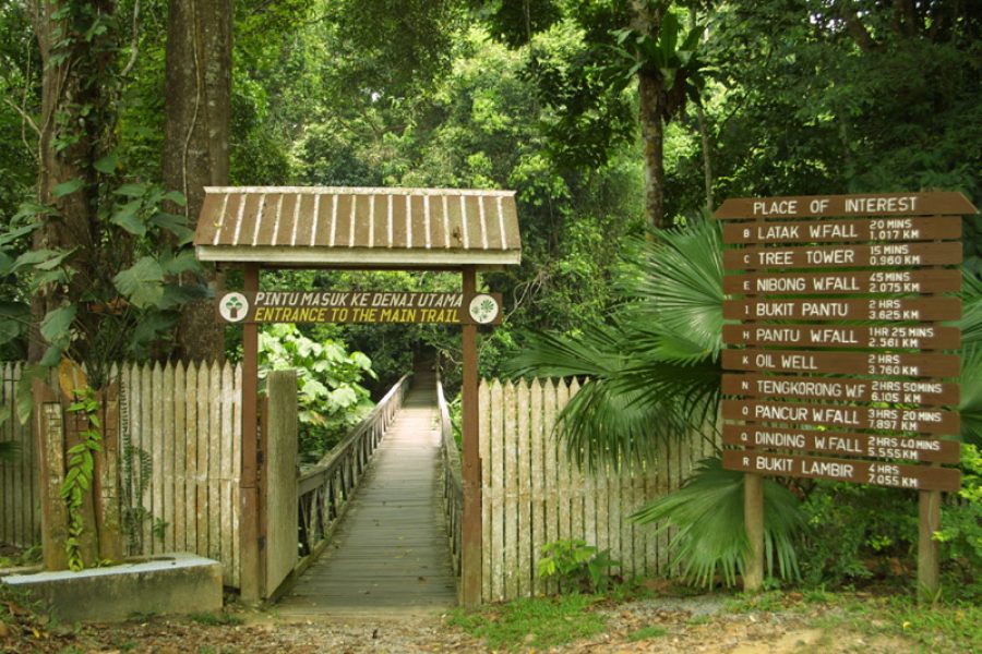 Lambir Hills National Park
