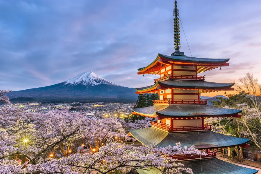 TOKYO + MT.FUJI 6D4N