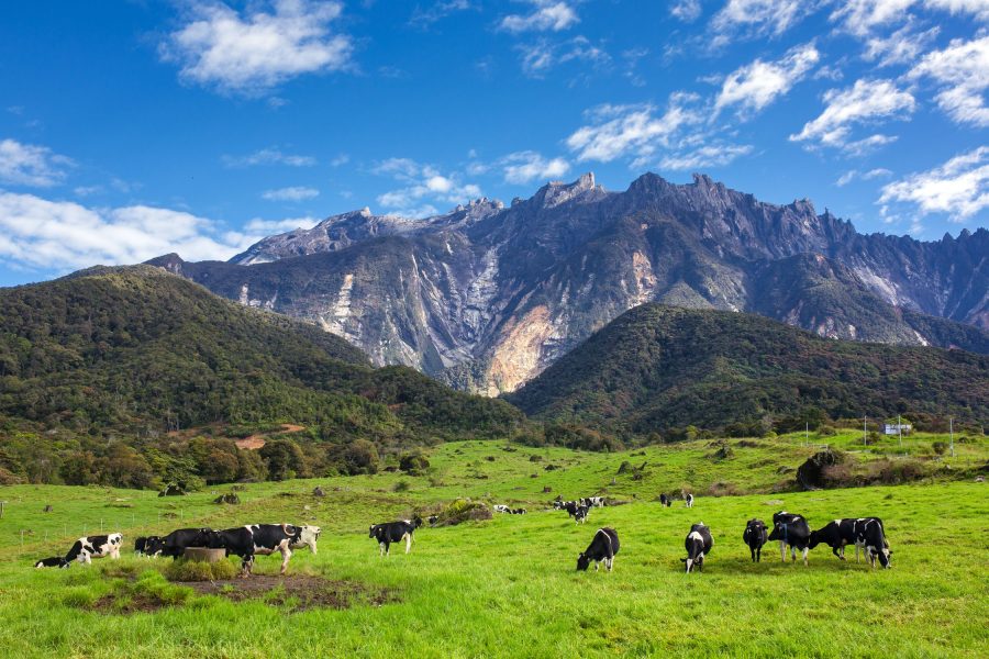 Kota Kinabalu Kundasang 4D3N