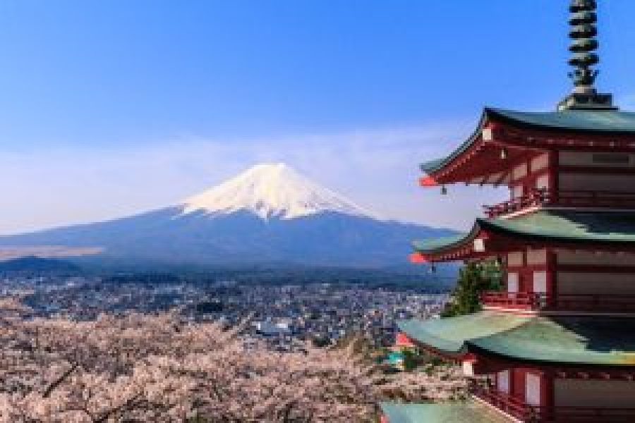 Private Tokyo, Disney & Kawaguchiko Tour | Free SIM Card & Return Airport Transfer